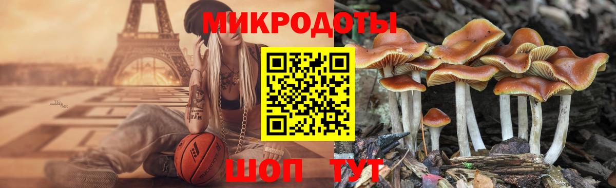 Кировск  магазин  наркотиков  Вход с VPN  Галлюциногенные грибы мухоморы 